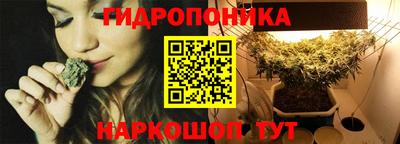 эйфоретик Гай