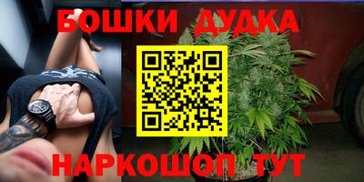 молекула духа Каменск-Шахтинский