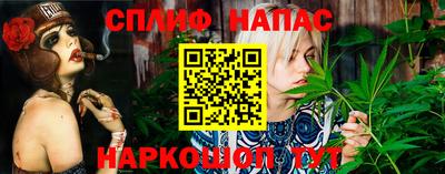 эйфоретик Гай