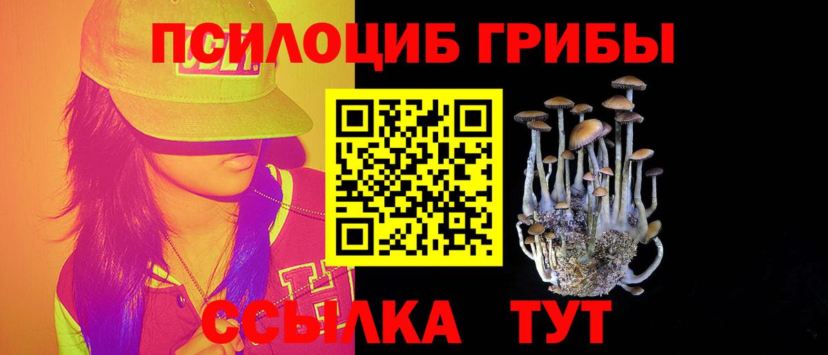 Галлюциногенные грибы Psilocybine cubensis  Вход с VPN  Кизляр 